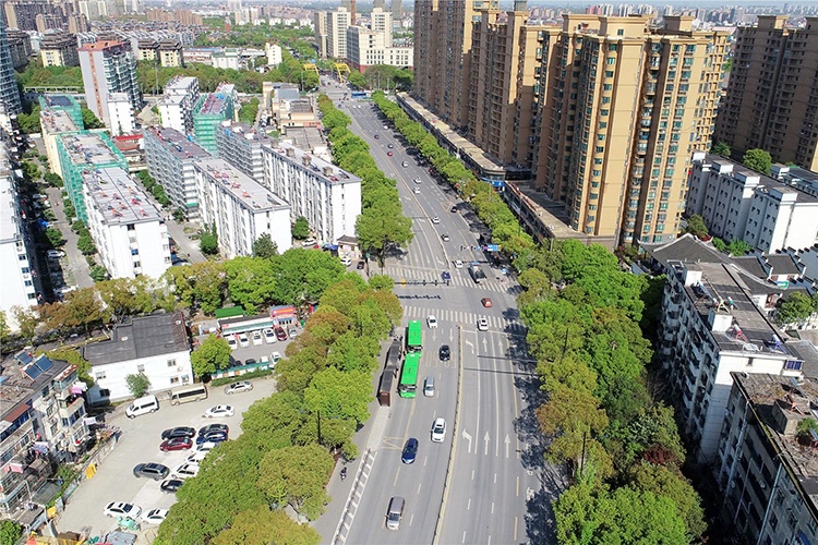 東升路（新港橋-中環(huán)東路）綜合整治工程  施工-（城北路-東方路）工程項(xiàng)目